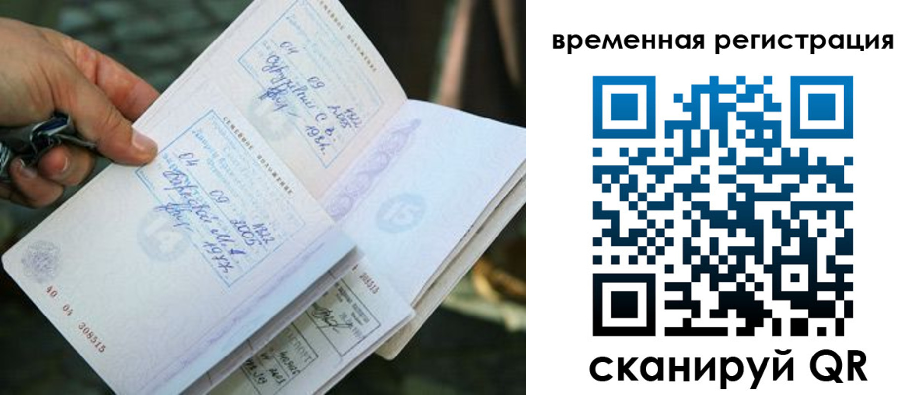 прописка для школы в Тихвине